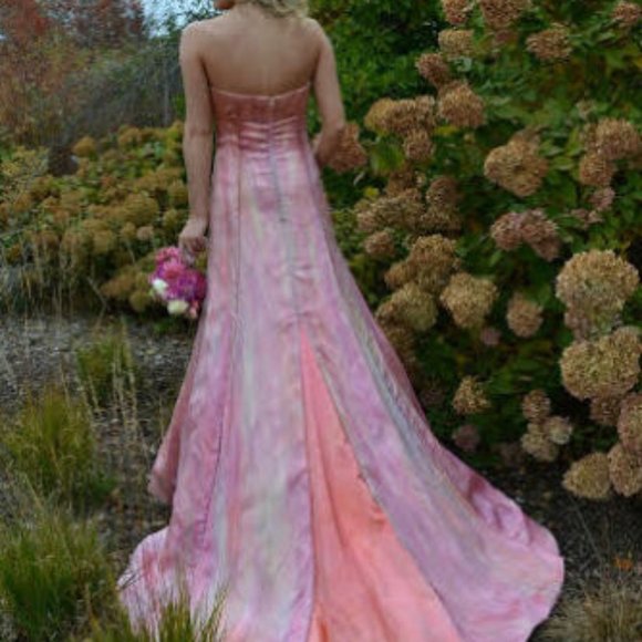 painted Vera Wang silk Wedding dress gown pink ivory white blush 2 4 6 8 purple - Picture 4 of 16